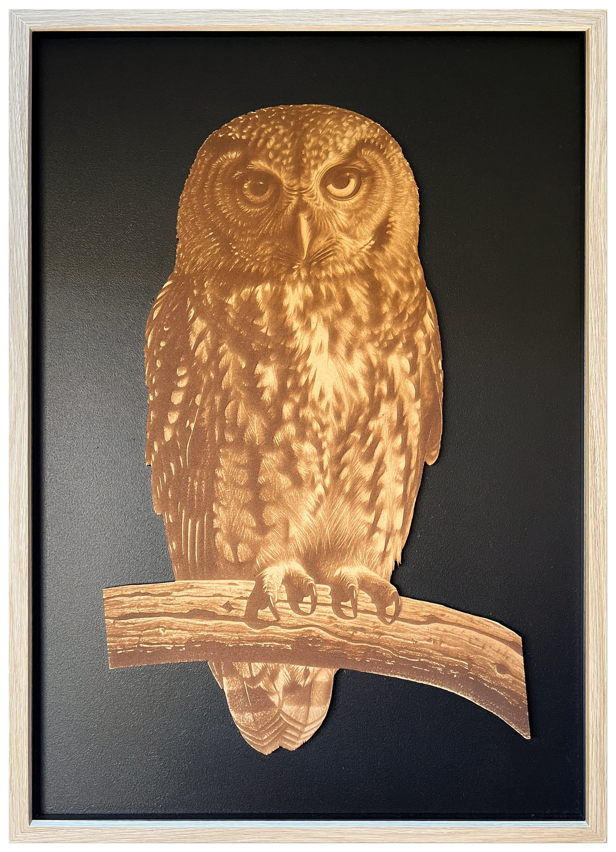 Morepork engraved cutout artwork with black background and Ashwood frame — frame-finish composite and colour visualisation, not a new photograph.