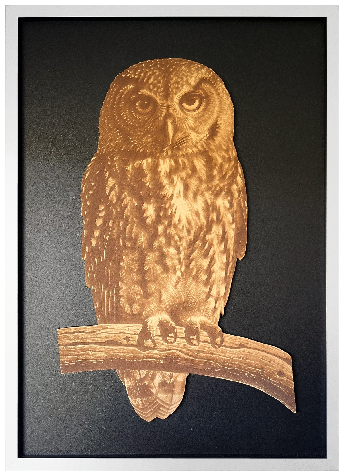 Morepork engraved cutout artwork with black background and White frame — colour visualisation, not a new photograph.