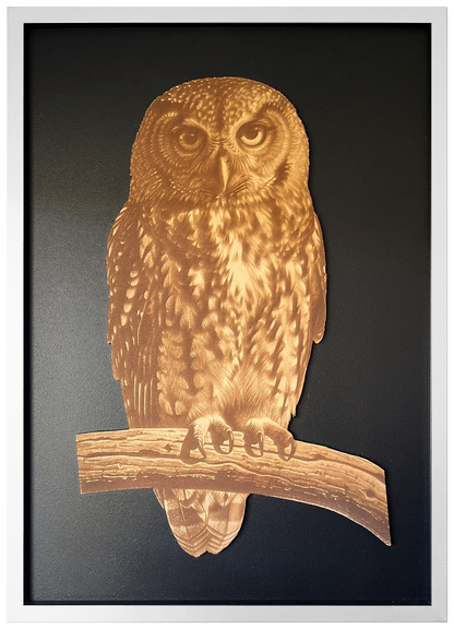 Morepork engraved cutout artwork with black background and White frame — colour visualisation, not a new photograph.