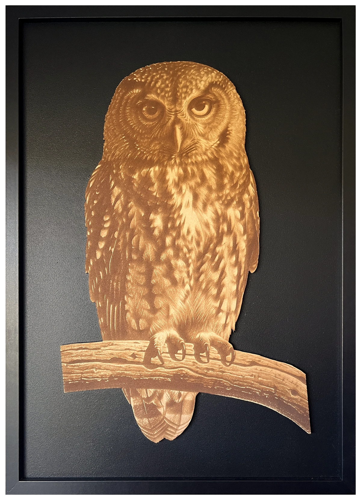 Morepork engraved cutout artwork in an A2-size black frame with a black background