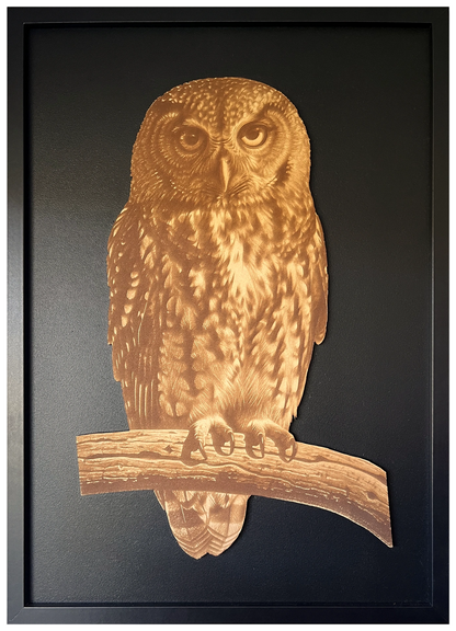 Morepork engraved cutout artwork in an A2-size black frame with a black background