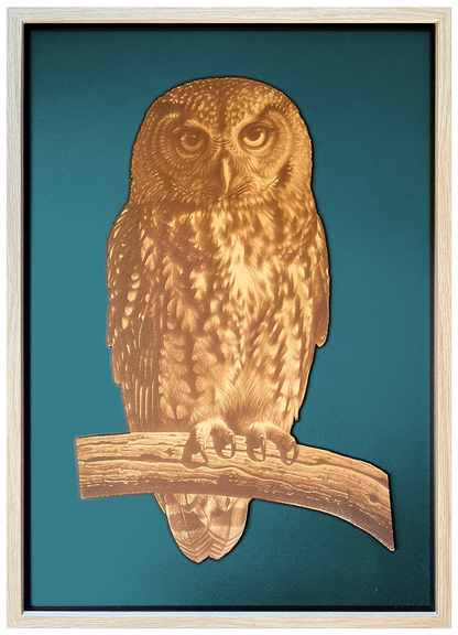 Morepork engraved cutout artwork with teal background and Ashwood frame — frame-finish composite and colour visualisation, not a new photograph.