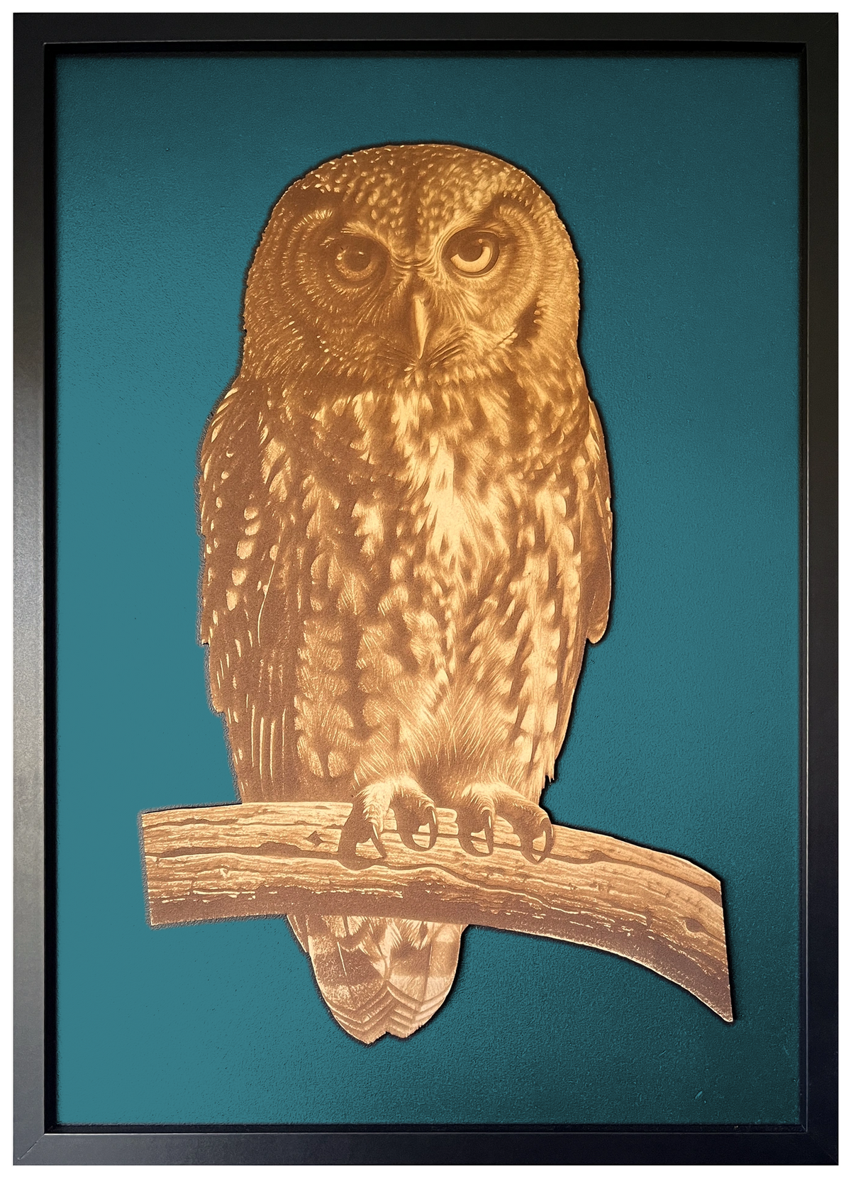Morepork engraved cutout artwork with teal background and Black frame — colour visualisation, not a new photograph.