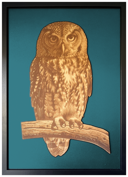 Morepork engraved cutout artwork with teal background and Black frame — colour visualisation, not a new photograph.
