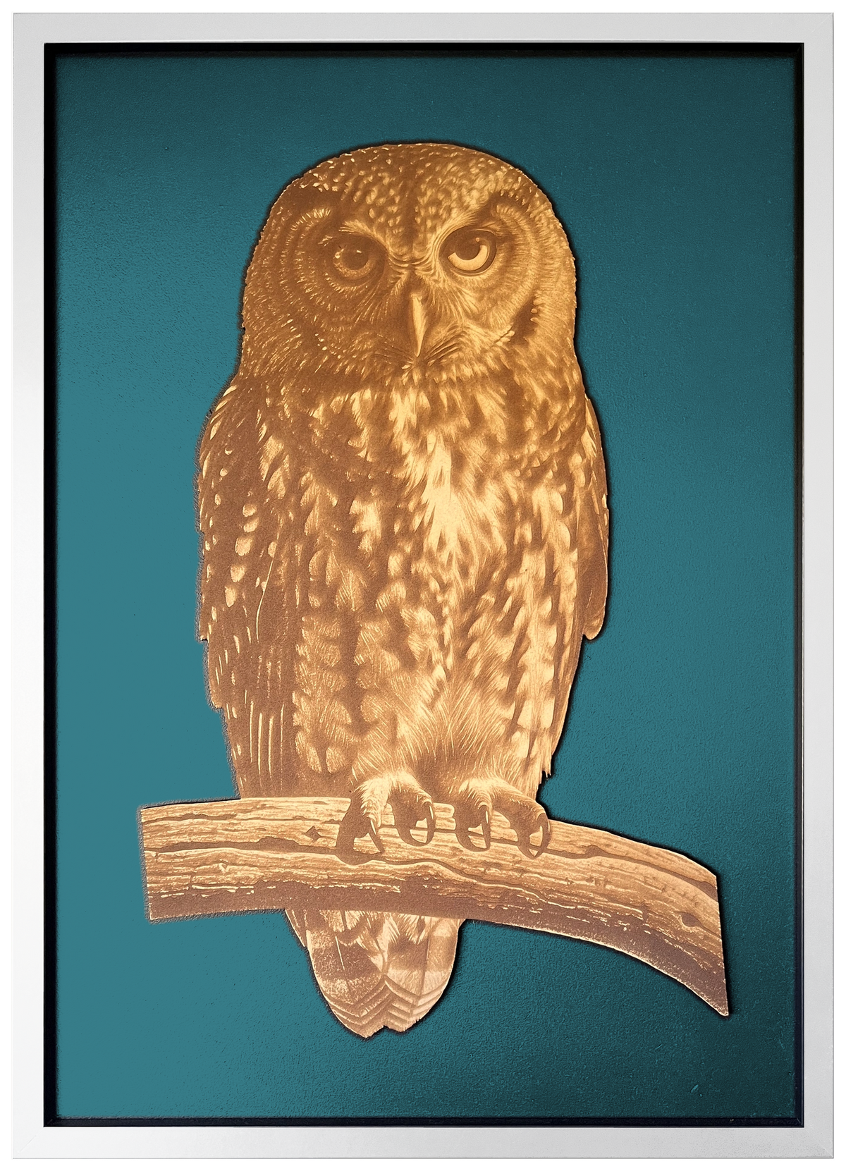 Morepork engraved cutout artwork with teal background and White frame — colour visualisation, not a new photograph.