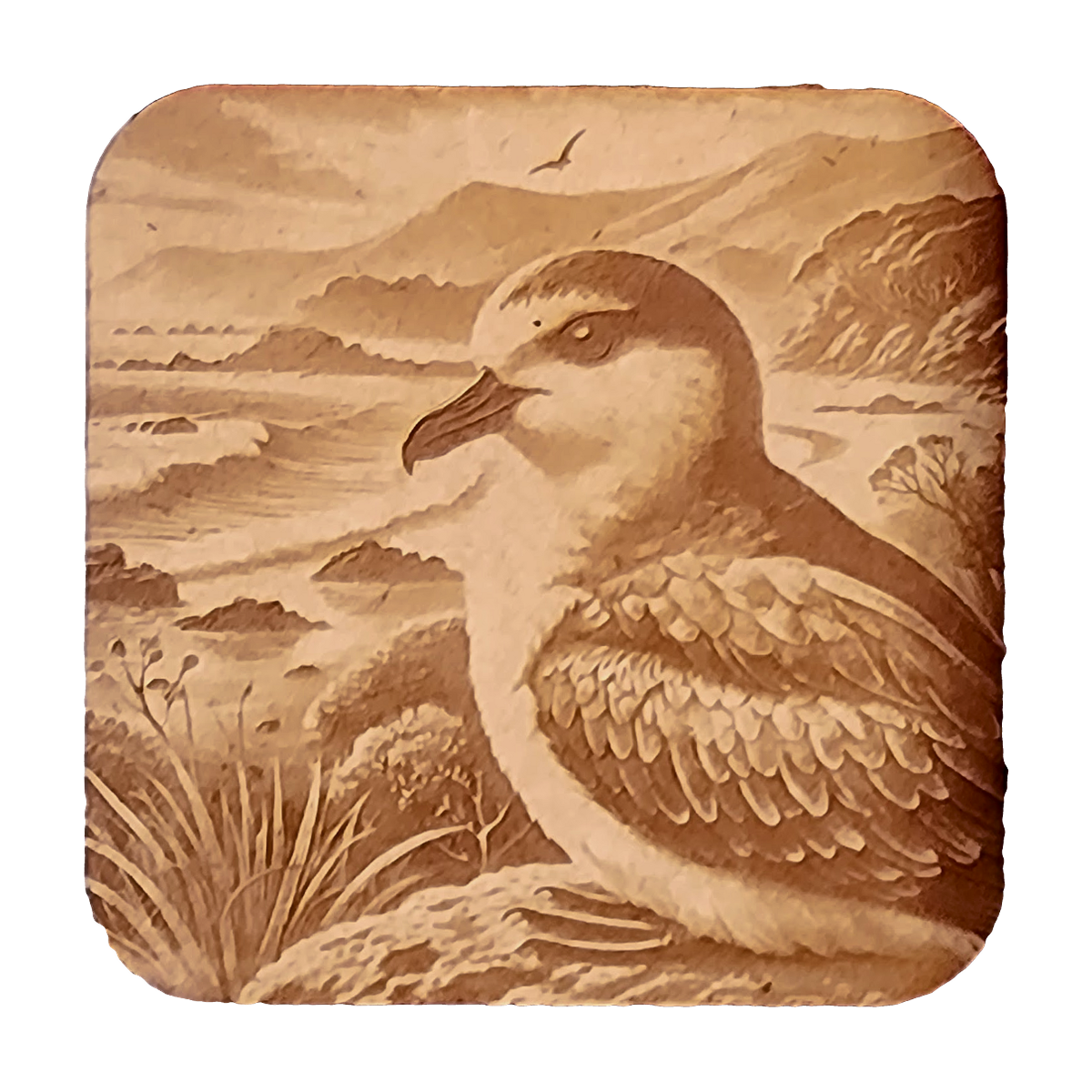 Chatham Petrel artwork engraved on a Wood/MDF coaster