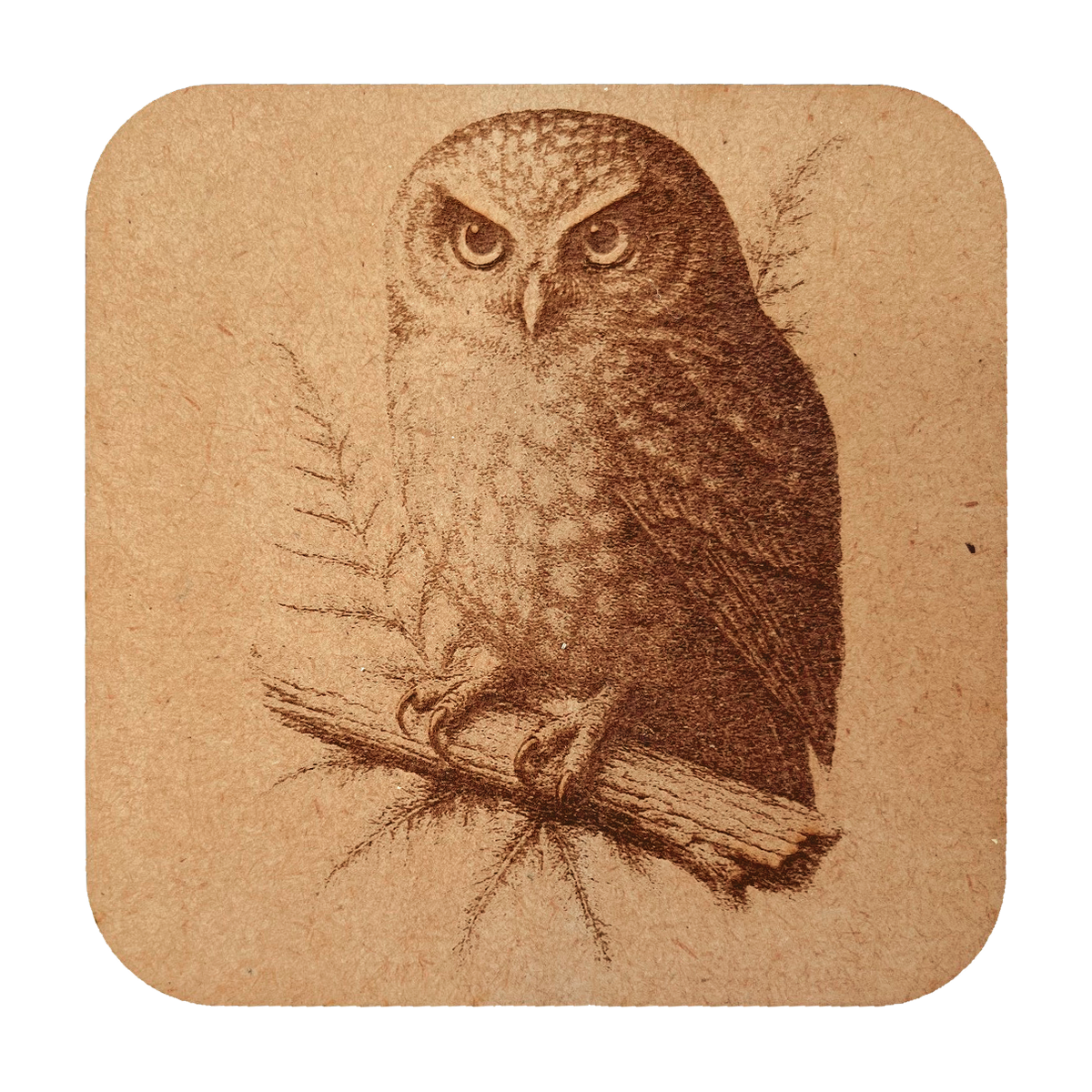 Morepork with fern artwork engraved on a Wood/MDF coaster