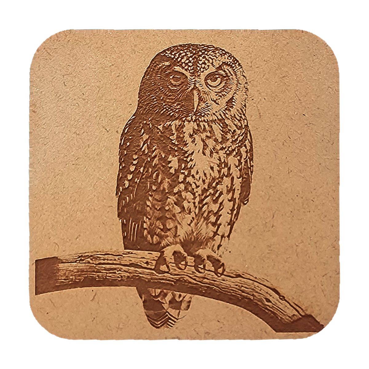 Morepork artwork engraved on a Wood/MDF coaster