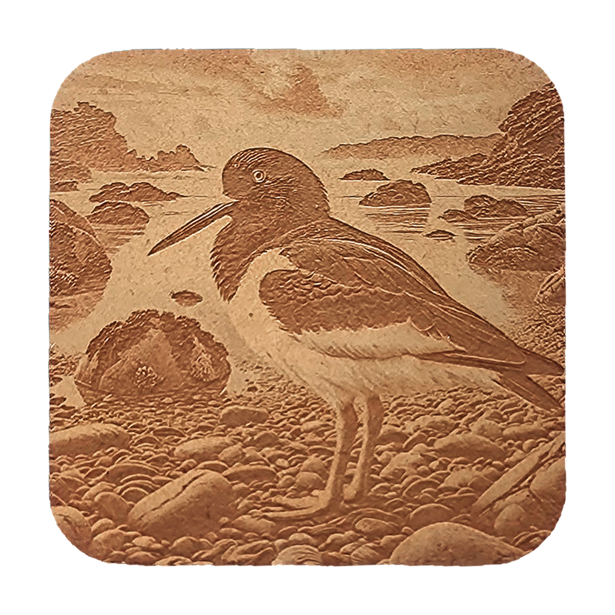 Oystercatcher artwork engraved on a Wood/MDF coaster