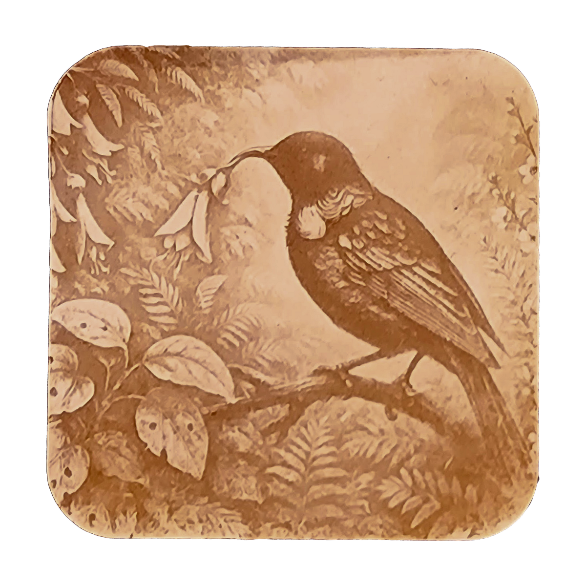 Tūi with kōwhai in its beak artwork engraved on a Wood/MDF coaster
