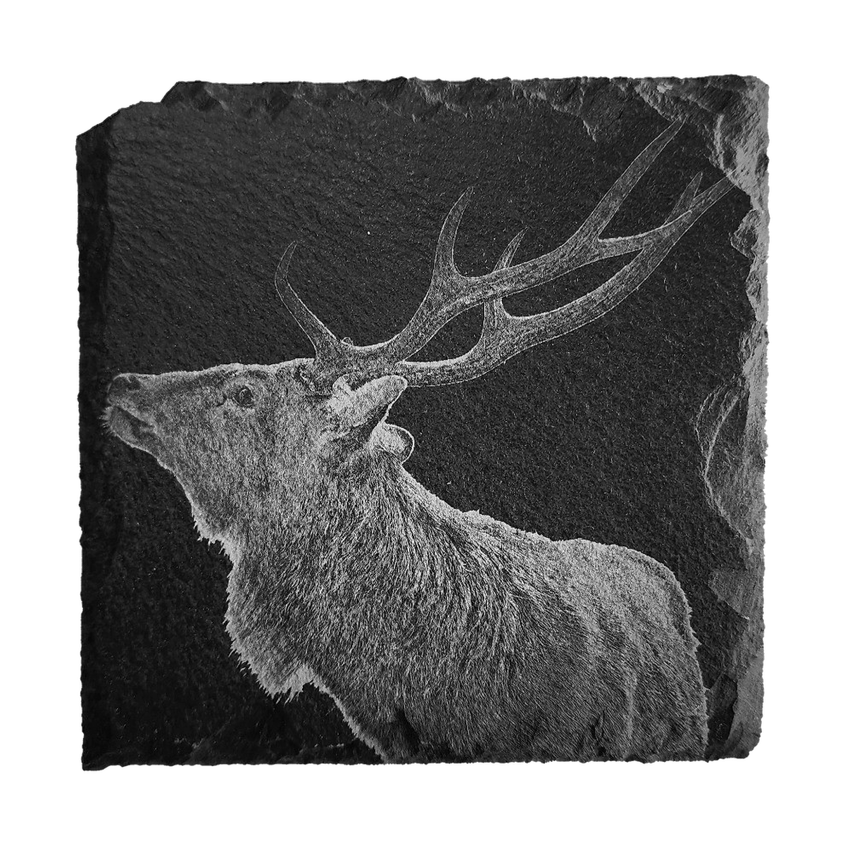 Sika Side natural slate coaster engraved with a deer in side profile and branching antlers.